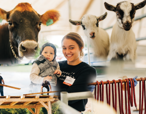 Berlin Seeds and Superb Industries Reflect Entrepreneurial Spirit of Ohio’s Amish Country