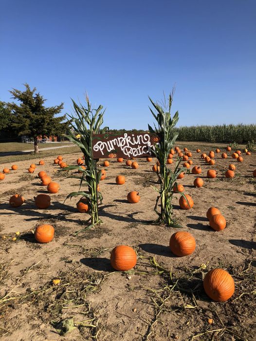 Bone Acres All In Ohio bone-acres-all-in-ohio