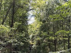 Clifton Gorge is a Natural Treasure In All Seasons