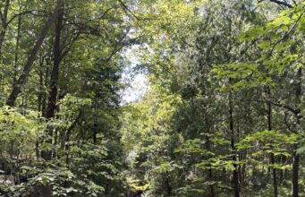 Clifton Gorge is a Natural Treasure In All Seasons