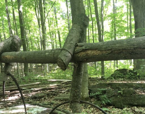 Heritage Explorers Fest Scheduled for Homeschool Families