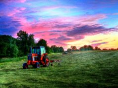 Why More Americans Are Getting Their Food From Local Farms