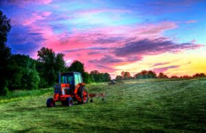Why More Americans Are Getting Their Food From Local Farms