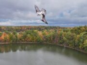 Prime Fall Color Season Arrives in Ohio