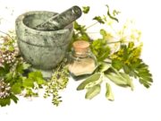 Here is Nature’s Forgotten ‘Farmacy’