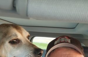 The Companionship of a Faithful Dog