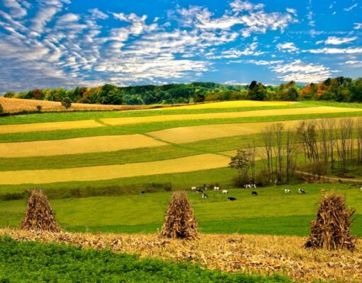 Ohio Farm Bureau Offers Mental Wellness Resources