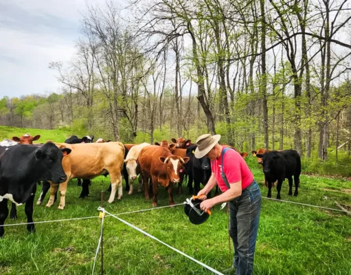 ‘Lunatic Farmer’ Joel Salatin Leads ‘Homesteading Tsunami’