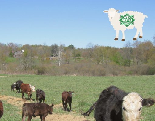 OEFFA Announces Three Upcoming Farm Tours