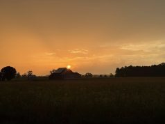 The Silver Lining of COVID