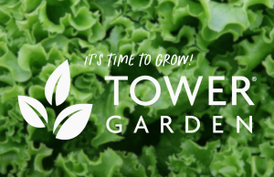 Tips and Tricks for New Tower Gardeners