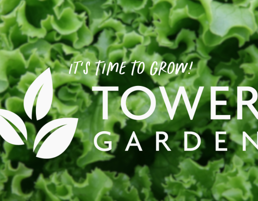 Tips and Tricks for New Tower Gardeners